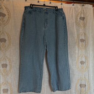 Shiny By Nature High Rise Light Wash Jeans